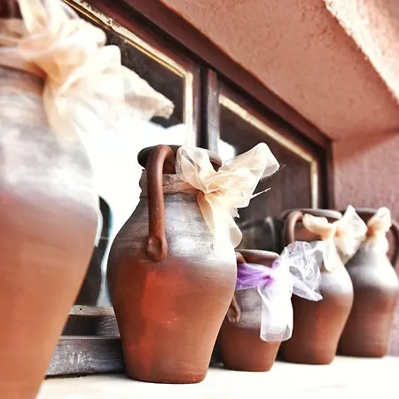 Plavas 3* سوزوبول