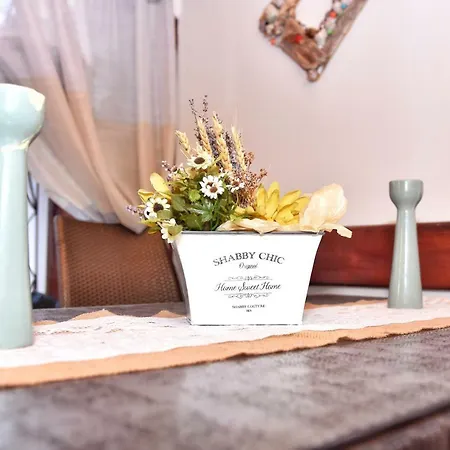 Plavas بيت ضيافة سوزوبول